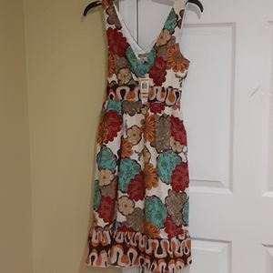 American Rag dress